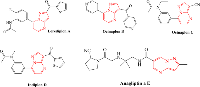 An Efficient And Targeted Synthetic Approach Towards New Highly Substituted 6 Amino Pyrazolo 1 5 A Pyrimidines With A Glucosidase Inhibitory Activity Scientific Reports