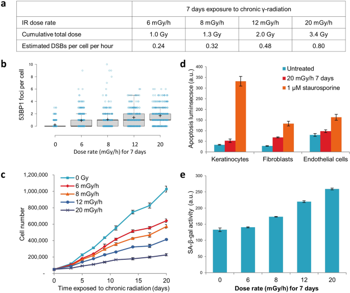 Chronic irradiation of human cells reduces histone levels and deregulates  gene expression | Scientific Reports