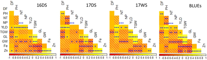 Genetic Analysis Of Agronomic Traits And Grain Iron And Zinc Concentrations In A Doubled Haploid Population Of Rice Oryza Sativa L Scientific Reports