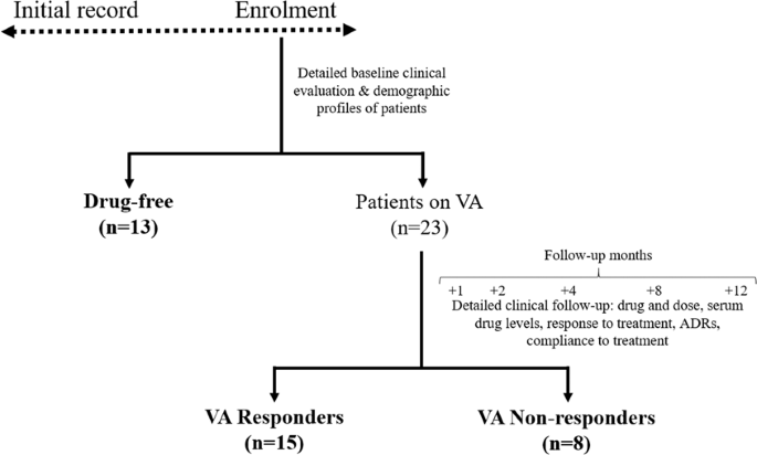 Downregulation Of Peripheral Ptgs2 Cox 2 In Response To Valproate Treatment In Patients With Epilepsy Scientific Reports
