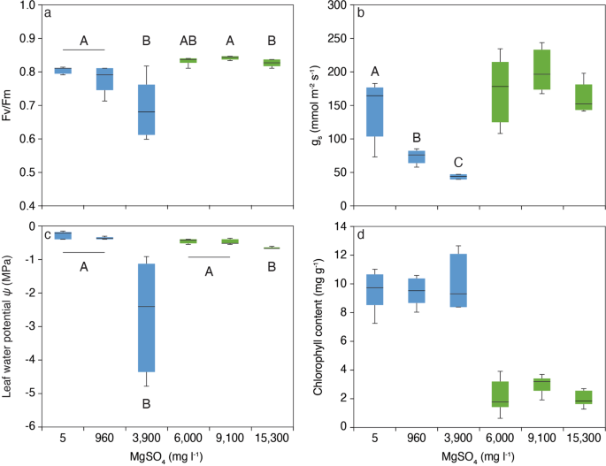 Effect Of Elevated Magnesium Sulfate On Two Riparian Tree Species Potentially Impacted By Mine Site Contamination Scientific Reports