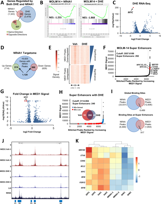 Targeting Oncogenic Super Enhancers In Myc Dependent Aml Using A Small Molecule Activator Of Nr4a Nuclear Receptors Scientific Reports
