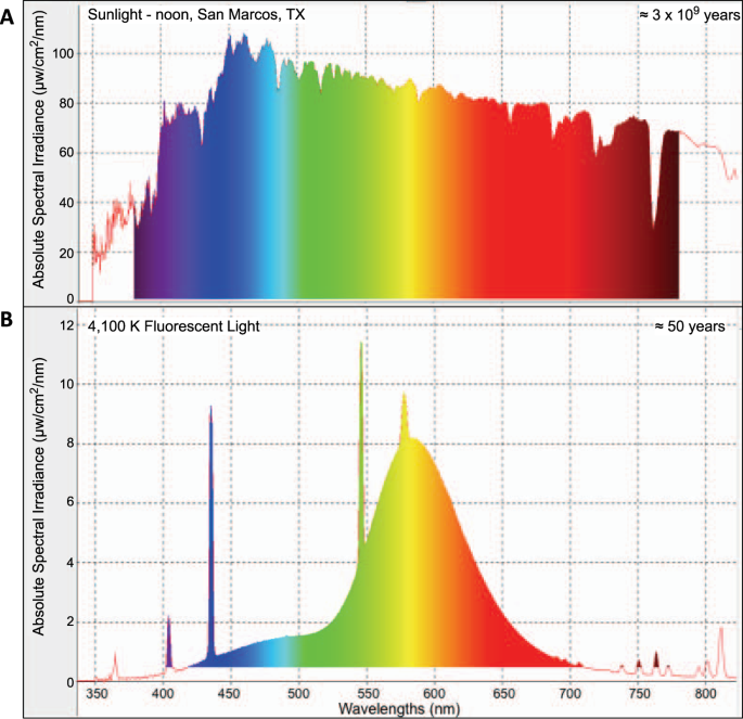 Spectrum of a Fluorescent Light Bulb vs. Spectrum of the Sun