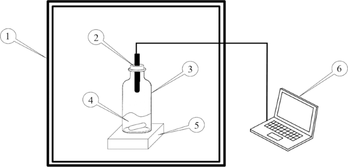 feature-image
