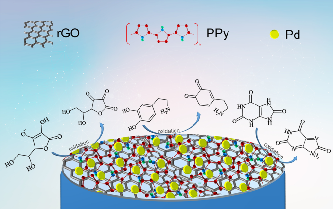 Palladium supported on polypyrrole/reduced graphene oxide nanoparticles for  simultaneous biosensing application of ascorbic acid, dopamine, and uric  acid | Scientific Reports