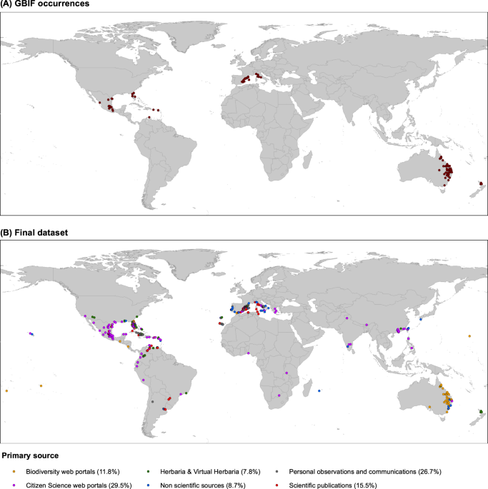 Global distribution patterns and niche modelling of the invasive Kalanchoe  × houghtonii (Crassulaceae) | Scientific Reports