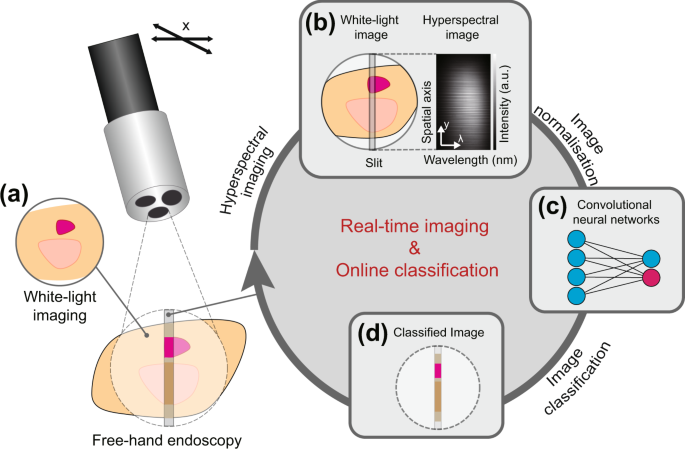 deep supervised learning for hyperspectral data classification through convolutional neural networks