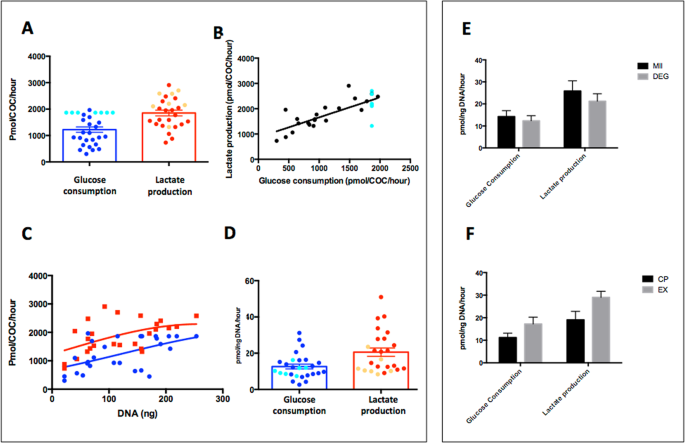 Energy Metabolism Of The Equine Cumulus Oocyte Complex During In Vitro Maturation Scientific Reports