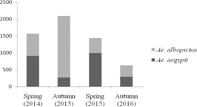 Silent Circulation Of Dengue Virus In Aedes Albopictus Diptera Culicidae Resulting From Natural Vertical Transmission Scientific Reports