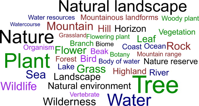 Social media, nature, and life satisfaction: global evidence of the  biophilia hypothesis | Scientific Reports