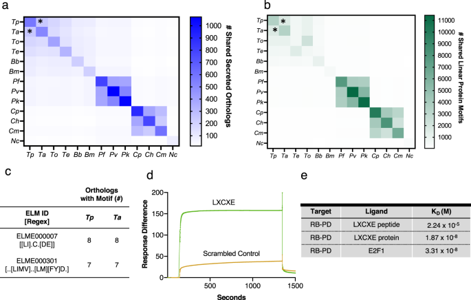 Theileria Parasites Subvert E2f Signaling To Stimulate Leukocyte Proliferation Scientific Reports