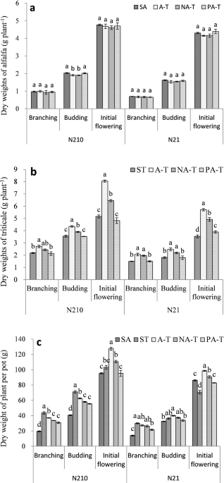 Effect Of Root Interaction On Nodulation And Nitrogen Fixation Ability Of Alfalfa In The Simulated Alfalfa Triticale Intercropping In Pots Scientific Reports