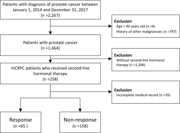 treatment of prostate cancer pdf