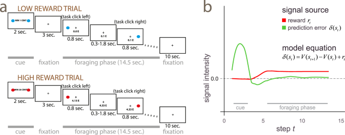 Signals of anticipation of reward and of mean reward rates in the