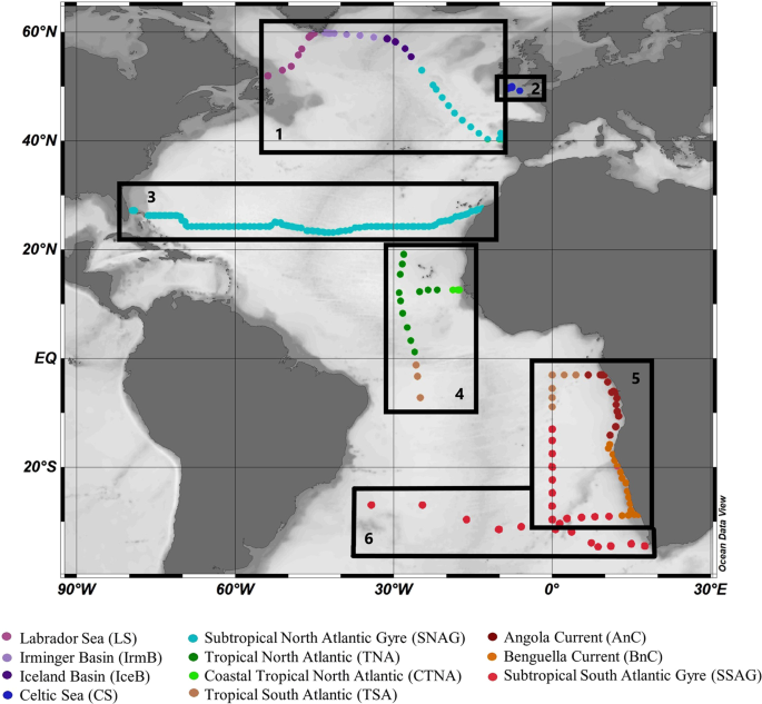 Heme B Distributions Through The Atlantic Ocean Evidence For Anemic Phytoplankton Populations Scientific Reports Heme B Distributions Through The Atlantic Ocean Evidence For Anemic Phytoplankton Populations Scientific Reports