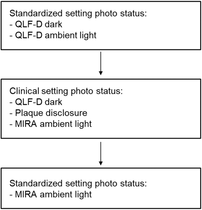 Comparison of Quantitative light-induced fluorescence-digital (QLF-D)  images and images of disclosed plaque for planimetric quantification of  dental plaque in multibracket appliance patients | Scientific Reports
