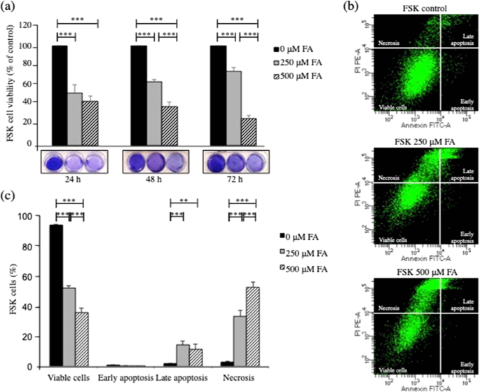 Mitochondrial Dysfunction And Dna Damage Accompany Enhanced Levels Of Formaldehyde In Cultured Primary Human Fibroblasts Scientific Reports