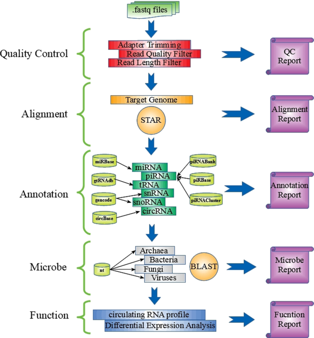 COMPSRA: a COMprehensive Platform for Small RNA-Seq data Analysis |  Scientific Reports