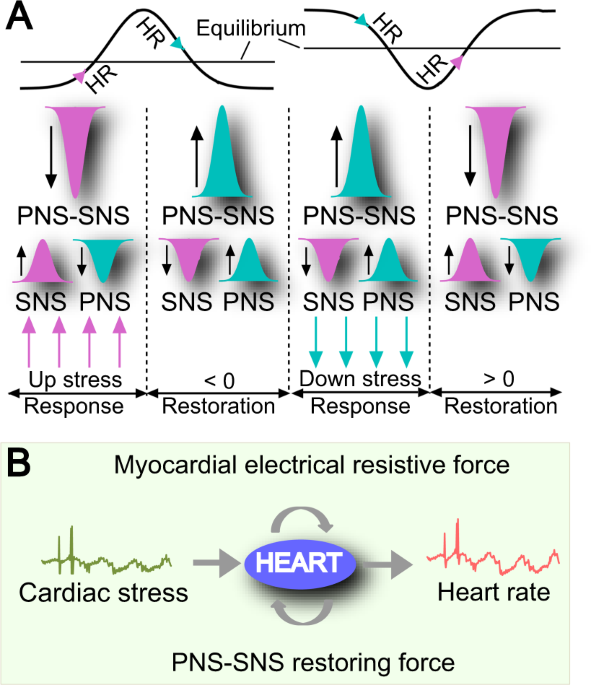 Heartbeat heart shape center line. Set of Heart beat pulse line