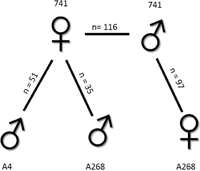 genetic linkage diagram