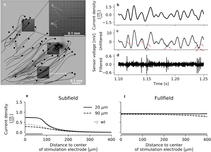 https://media.springernature.com/m685/springer-static/image/art%3A10.1038%2Fs41598-020-61899-y/MediaObjects/41598_2020_61899_Fig1_HTML.png