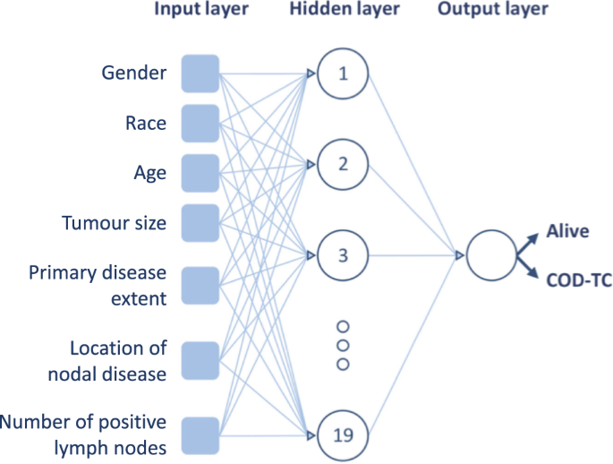 cancer dataset in matlab 2012 cancer dataset in matlab 2012