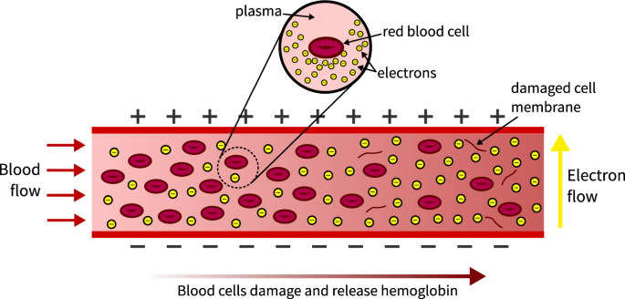 A simple method to monitor hemolysis in real time | Scientific Reports