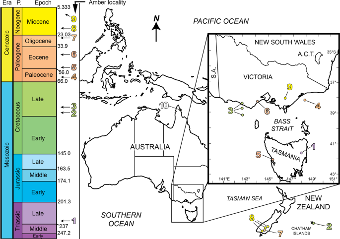 Amber From The Triassic To Paleogene Of Australia And New Zealand As Exceptional Preservation Of Poorly Known Terrestrial Ecosystems Scientific Reports
