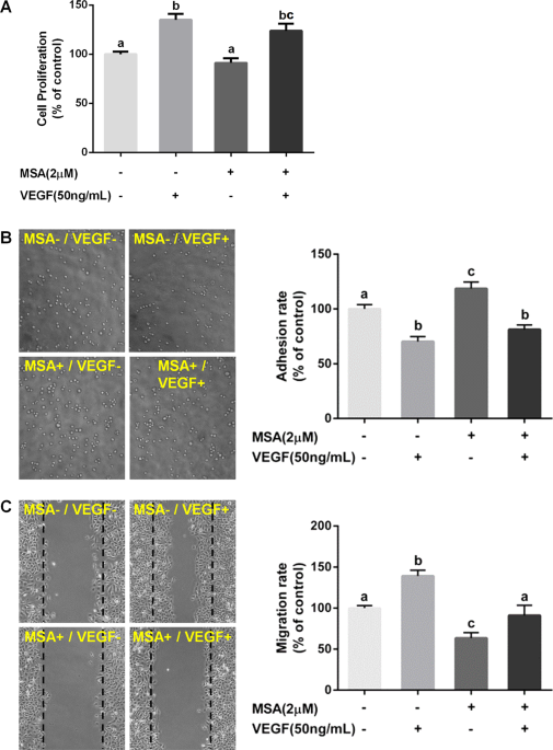 Author correction: methylseleninic acid provided at nutritional selenium levels inhibits angiogenesis by down-regulating integrin β3 signaling
