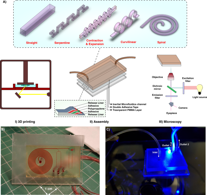 a) Real-time transparency change and layer appearance in the 3D