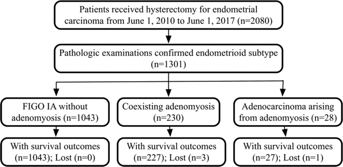 endometrial cancer or adenomyosis am scăpat de verucile genitale