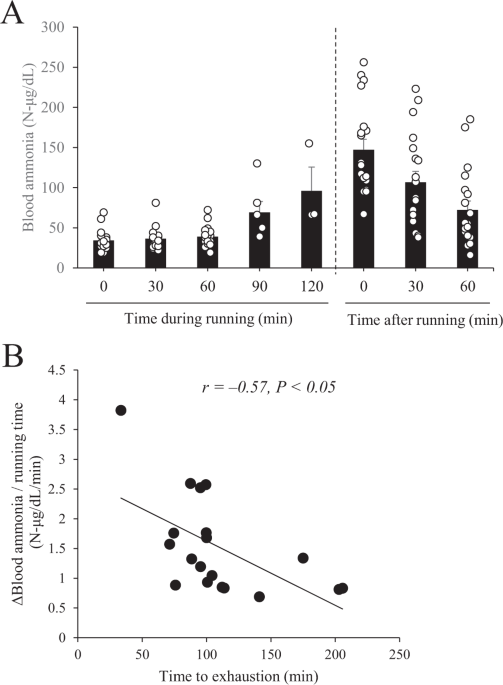 6. which diet produced the maximum endurance?