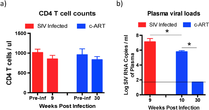 sta a dysbiosis a nem menta fehérjék meghatározása