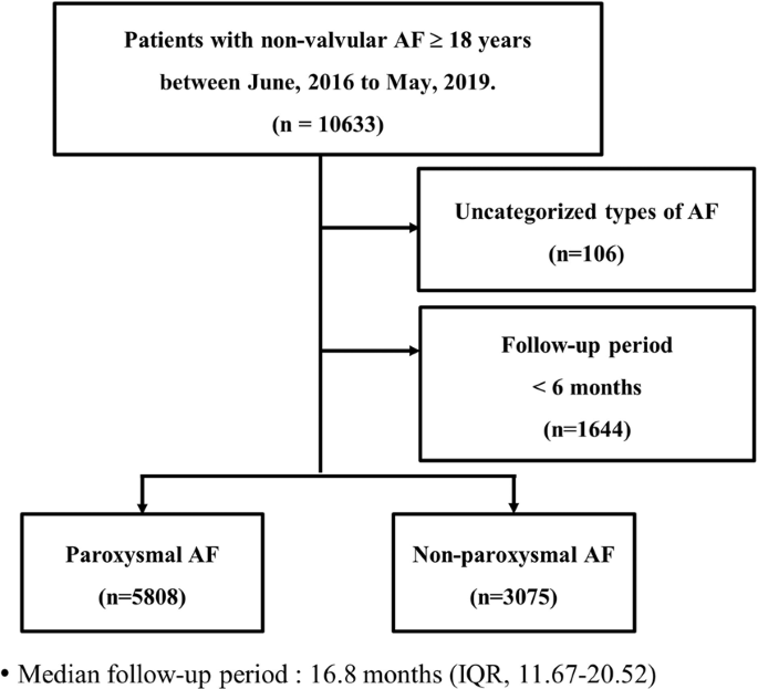 The Difference Of Burden Of Ectopic Beats In Different Types Of Atrial Fibrillation And The Effect Of Atrial Fibrillation Type On Stroke Risk In A Prospective Cohort Of Patients With Atrial Fibrillation