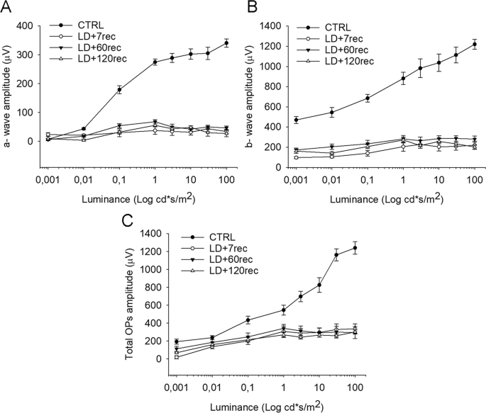Up Regulation Of Pro Angiogenic Pathways And Induction Of Neovascularization By An Acute Retinal Light Damage Scientific Reports