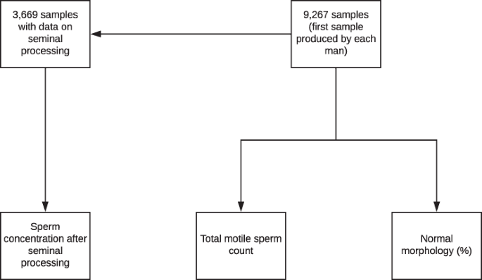Changes in seminal parameters among Brazilian men between 1995 and 2018 | Scientific Reports Changes in seminal parameters among Brazilian men between 1995 and 2018 | Scientific Reports