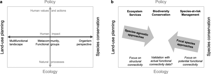Conceptual framework and uncertainty analysis for large-scale 