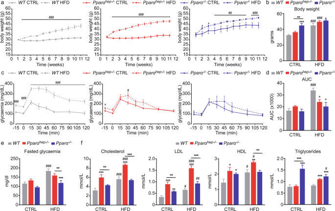 Hepatocyte Specific Deletion Of Ppara Promotes Nafld In The Context Of Obesity Scientific Reports