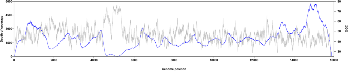 Full genome sequencing of archived wild type and vaccine rinderpest virus isolates prior to their destruction