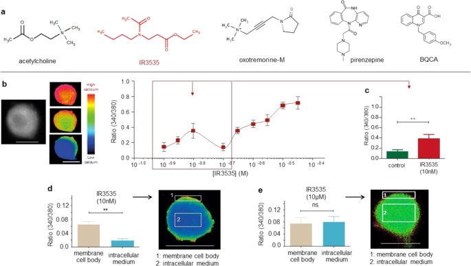 Orthosteric Muscarinic Receptor Activation By The Insect Repellent Ir3535 Opens New Prospects In Insecticide Based Vector Control Scientific Reports