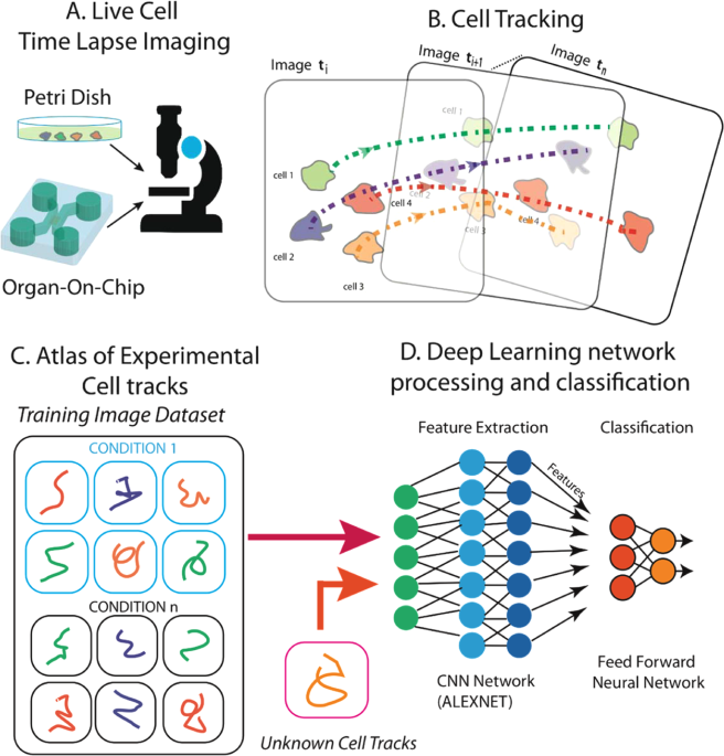 deep learning video processing
