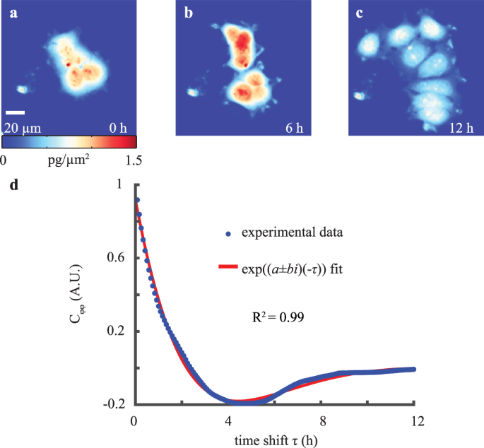 Cell viscoelasticity is linked to fluctuations in cell biomass distributions