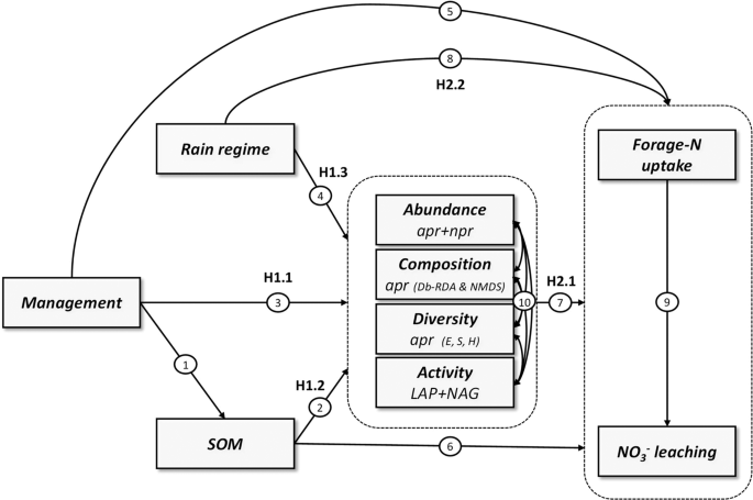 Compared to conventional, ecological intensive management promotes  beneficial proteolytic soil microbial communities for agro-ecosystem  functioning under climate change-induced rain regimes | Scientific Reports