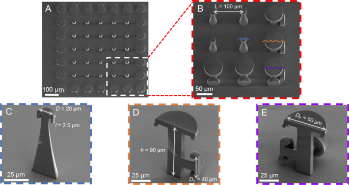 Rendering SiO2/Si Surfaces Omniphobic by Carving Gas-Entrapping  Microtextures Comprising Reentrant and Doubly Reentrant Cavities or Pillars