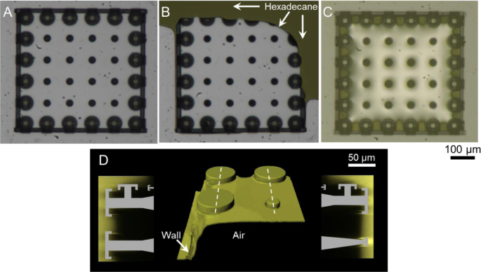 Rendering SiO2/Si Surfaces Omniphobic by Carving Gas-Entrapping  Microtextures Comprising Reentrant and Doubly Reentrant Cavities or Pillars