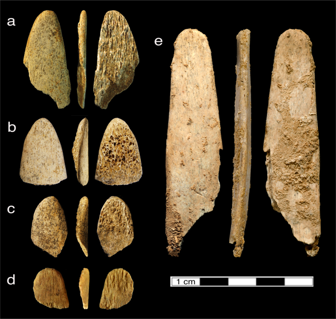 Non-destructive ZooMS identification reveals strategic bone tool raw  material selection by Neandertals | Scientific Reports