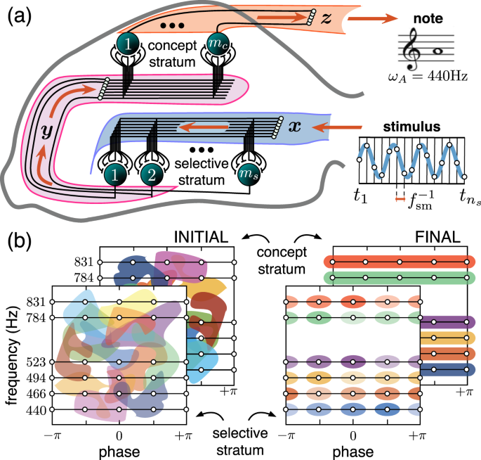 Universal Principles Justify The Existence Of Concept Cells Scientific Reports