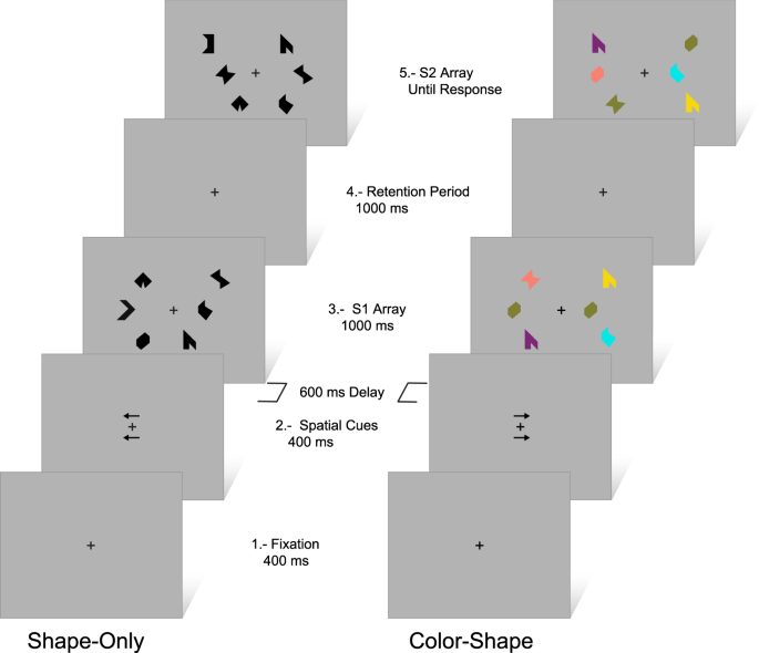 Neurocognitive mechanisms underlying working memory encoding and retrieval  in Attention-Deficit/Hyperactivity Disorder | Scientific Reports