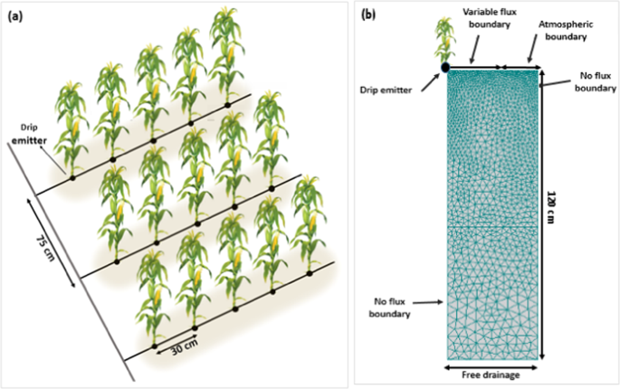 An Analysis Of Optimal Fertigation Implications In Different Soils On Reducing Environmental Impacts Of Agricultural Nitrate Leaching Scientific Reports