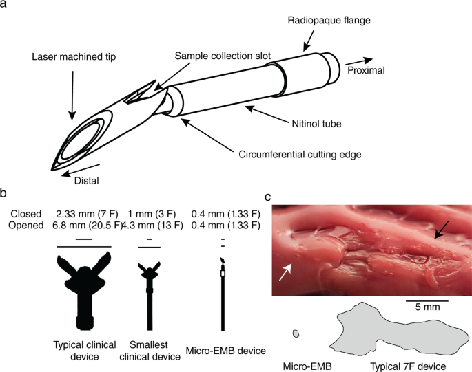 Myocardial Micro Biopsy Procedure For Molecular Characterization With Increased Precision And Reduced Trauma Scientific Reports